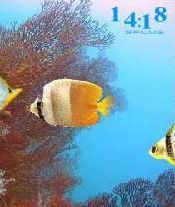Splus Undersea Flash Lite Screensaver