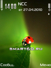 Ladybug by PiZero