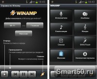Скриншот к файлу: Winamp Pro v.1.4.13 