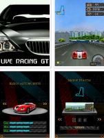 Скриншот к файлу: Racing: Ghost Track 