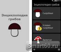 Скриншот к файлу: Грибы v.1.1.0 RUS