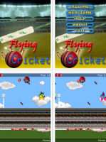 Скриншот к файлу: Полет: Крикет (Flying: Cricket)