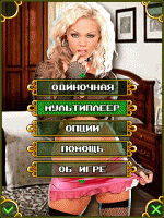 Скриншот к файлу: Дурак 3 + BlueTooth